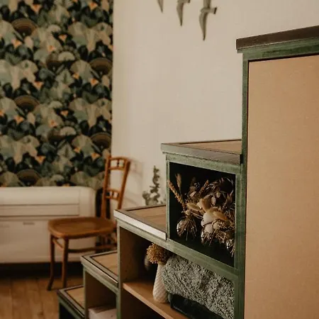 Studio Refait A Neuf Coeur D'uzes アパート *