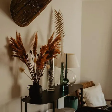Studio Refait A Neuf Coeur D'uzes Apartment *