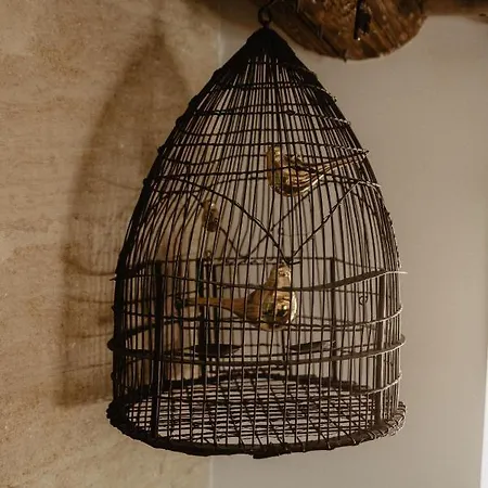 Studio Refait A Neuf Coeur D'uzes アパート ユゼ