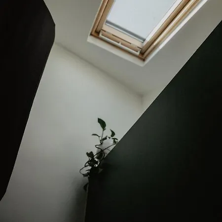 Studio Refait A Neuf Coeur D'uzes * ユゼ