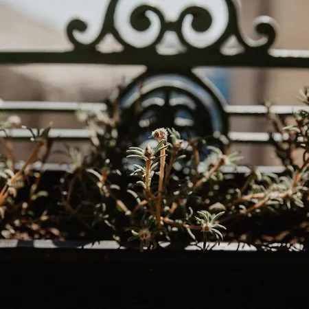 アパート Studio Refait A Neuf Coeur D'uzes