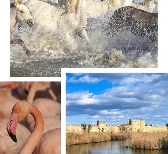 Studio Refait A Neuf Coeur D'uzes Юзес