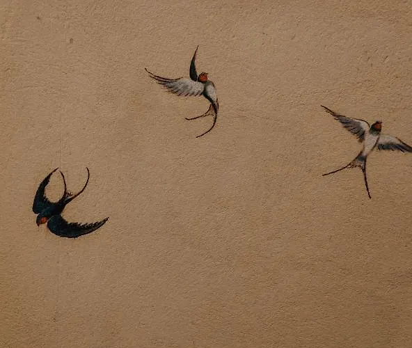 Studio Refait A Neuf Coeur D'uzes Апартаменты