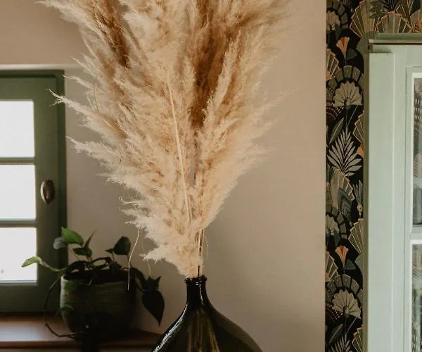 Studio Refait A Neuf Coeur D'uzes *