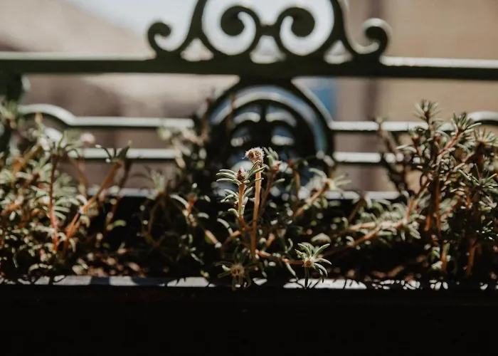 Апартаменты Studio Refait A Neuf Coeur D'uzes